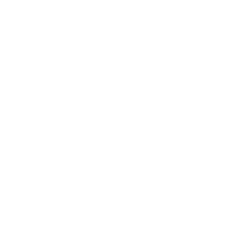 Möwe & die Ölmützen